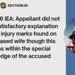 106 iea