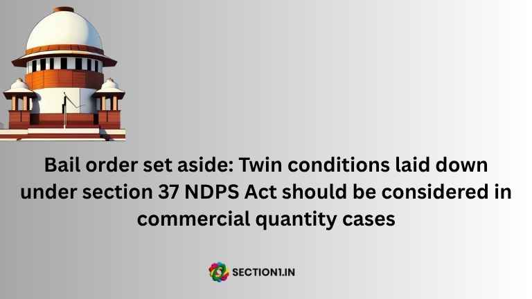 ndps bail