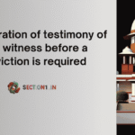 child witness